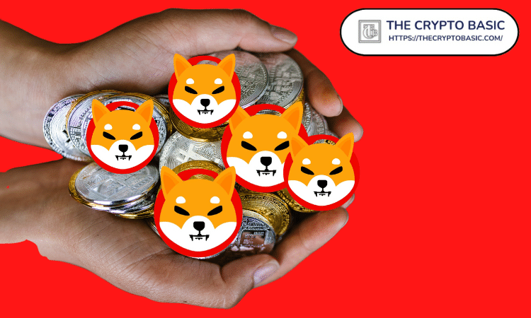 Here Are Top 5 Shiba Inu Holders Other Than Exchanges and Burn Address