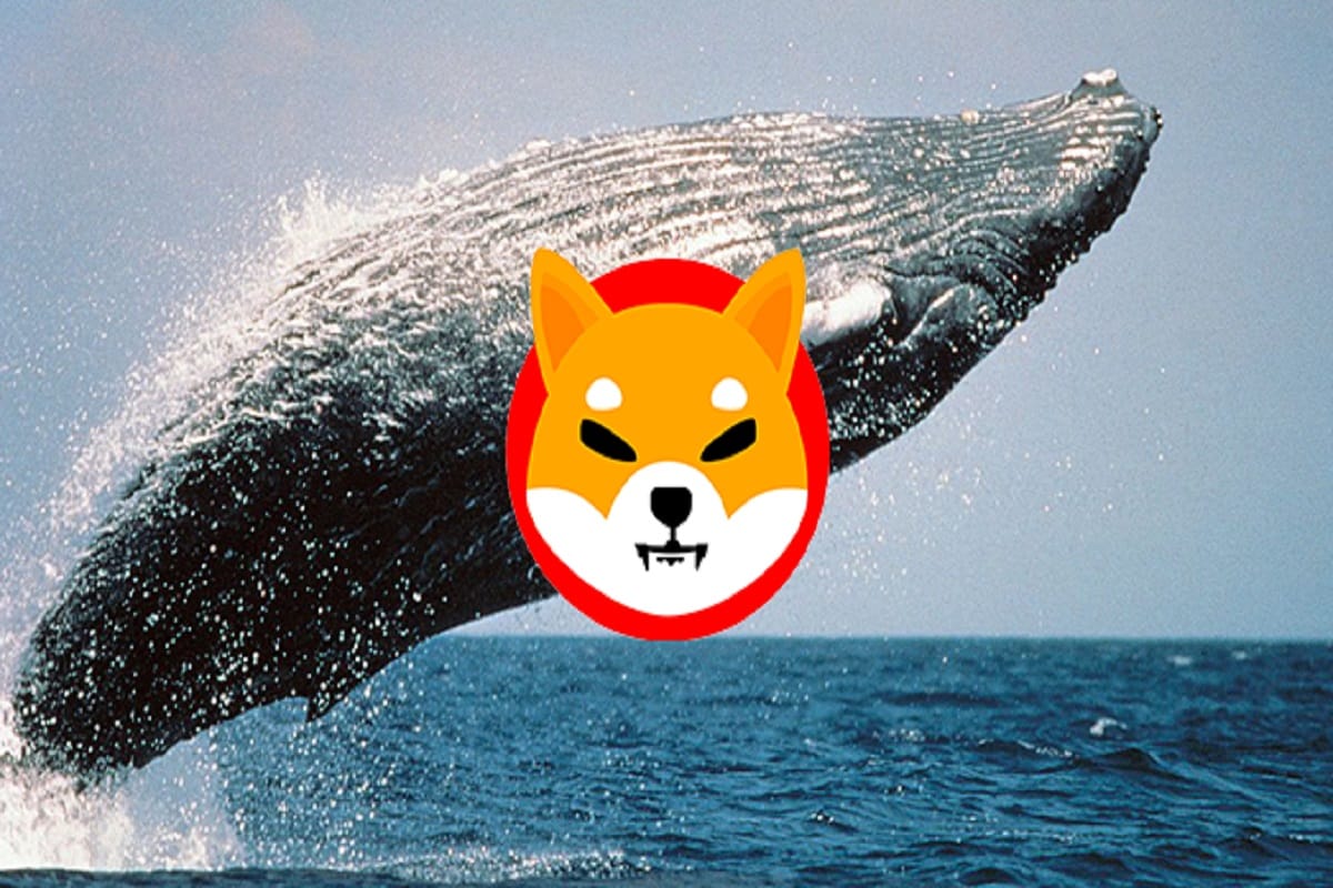 Shiba Inu Whale Shifts 4 Tln SHIB As Community Burns 13 Mln Coins, What’s Happening?