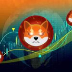 Shiba Inu Emerges As Top Traded Crypto On WazirX In India