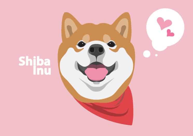 Shiba Inu Rival Raises $1.3M+ in Blockbuster ICO