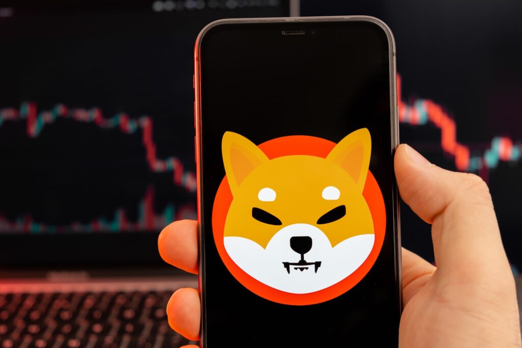 Pullix (PLX) Surges As Memecoin Madness for Shiba Inu (SHIB) and Pepe (PEPE) Fades