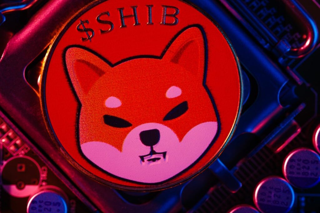 ‘Dogecoin Killer’ Shiba Inu Burn Rate Surges 2,500%: Analyst Says Meme Coin Set For Price Change After Spot Bitcoin ETF Announcement