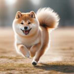 Shiba Inu [SHIB] Weekly Price Prediction