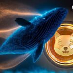 Mysterious Shiba Inu Whale Drops $2.7 Million on SHIB, and Surprising Extra