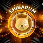 Major Shibarium Partner and SHIB Burner Revealed by Shiba Inu Member