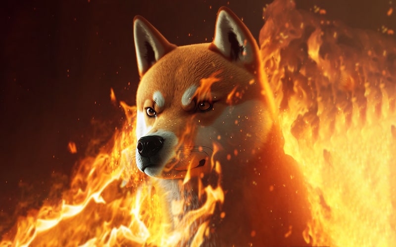 Dogecoin Rivals Shiba Inu And FLOKI Record Massive Surges In Burn Rate