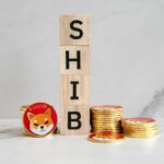 Why Shiba Inu Successor is the Investor’s Choice for Maximizing Returns in Feb 2024