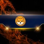 Major Increase in Shiba Inu (SHIB) Burn Rate Today