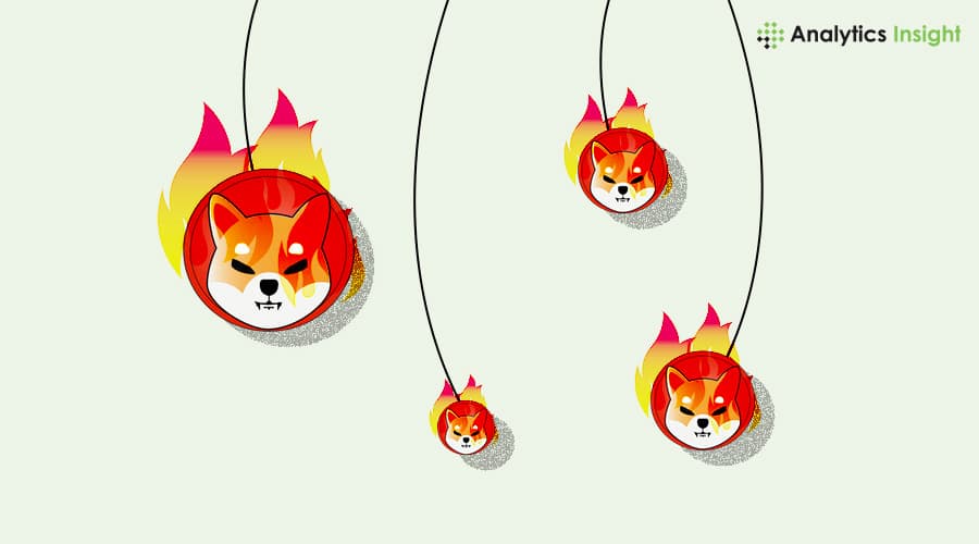 Shiba Inu Burns 30 Million SHIB in a Day: What’s Ahead?