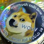 Shiba Inu Price Prediction – Why 3 Crypto Presale Gems are Poised for 25x More Gains in 2024!