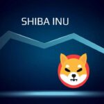 Shiba Inu (SHIB) Surges 2,000% In Burn Rate, Removes 53.5M