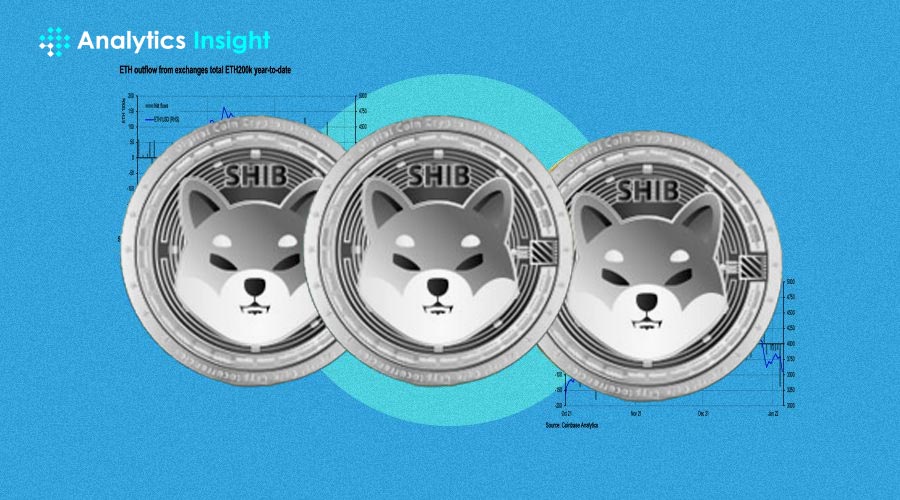 Shiba Inu Sees Significant Surge; What’s Behind the Rally?