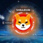 Shiba Inu Team Releases Step-by-Step Guide to Buying Shibarium-Based NFTs