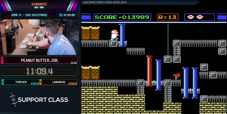 Peanut Butter the Shiba Inu speedruns NES game Gyromite during AGDQ stream