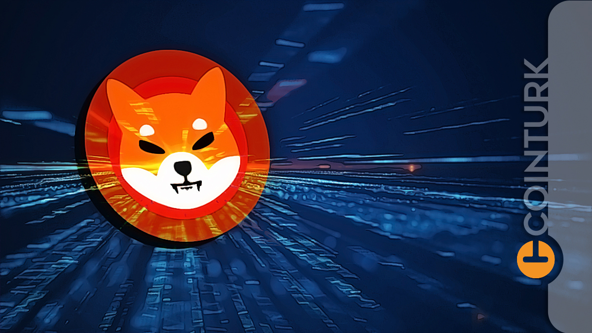 Shiba Inu Bu Ülkenin Kripto Para Borsasında 2023’te Rekor Kırdı › COINTURK