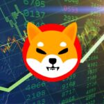 Dogecoin Rival Shiba Inu Tanks Over 10% In Past Week: Here’s What Shib Team Encourages Investors To Do