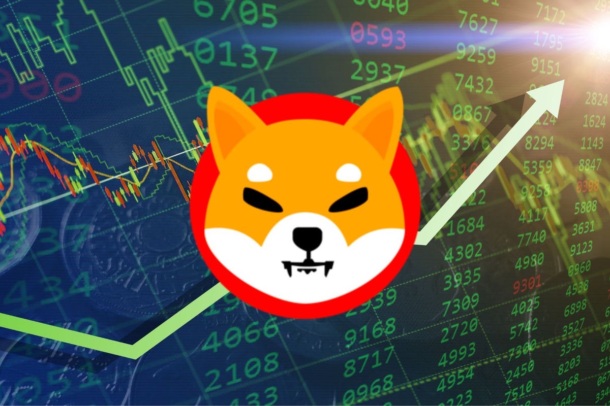 Dogecoin Rival Shiba Inu Tanks Over 10% In Past Week: Here’s What Shib Team Encourages Investors To Do