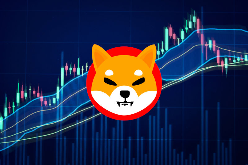 Whales Boost Shiba Inu (SHIB) As Accumulation Trend Gains Momentum