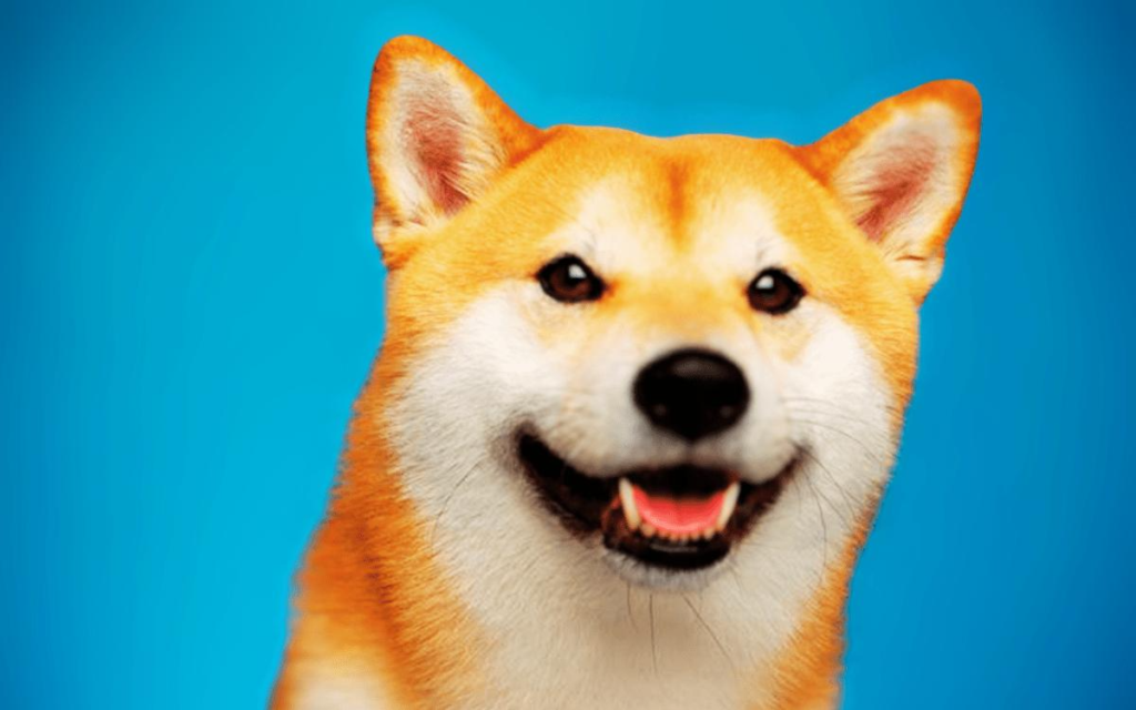 Whales Snap Up 2.39 Trillion Shiba Inu Tokens, Eyeing Market Shift – The VR Soldier