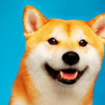 Whales Snap Up 2.39 Trillion Shiba Inu Tokens, Eyeing Market Shift – The VR Soldier