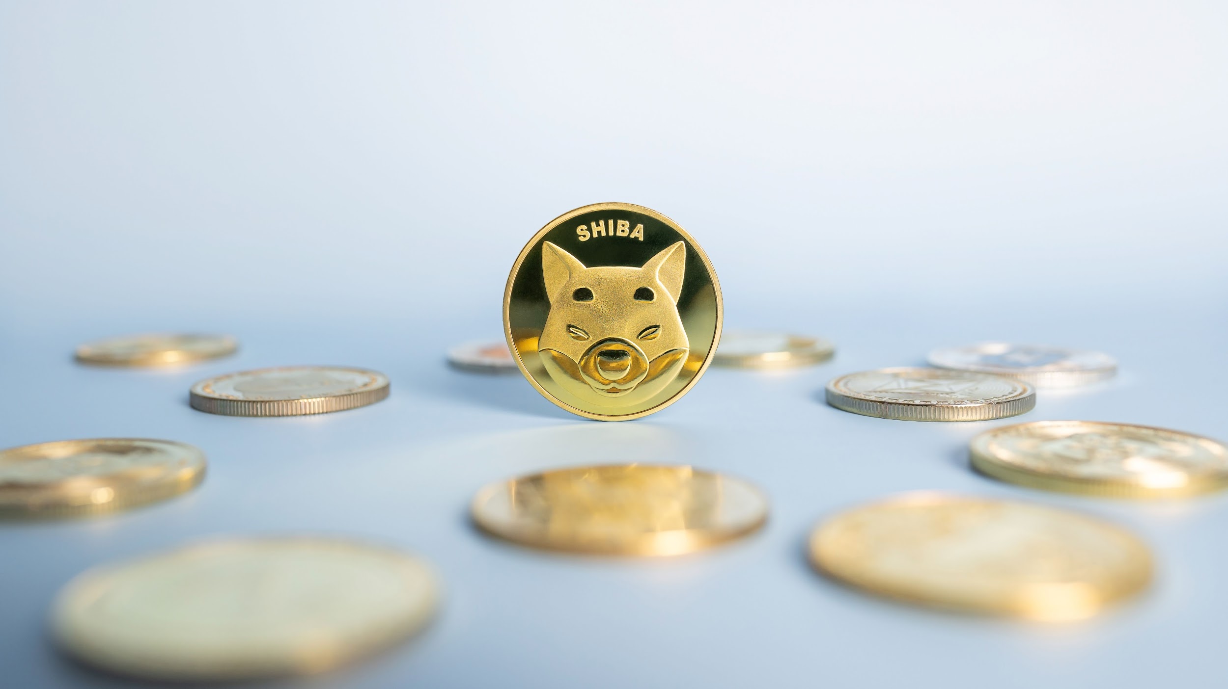 Shiba Inu Dev Announces SHIB Name Service; Near Protocol And InQubeta Anticipate 2,650% Growth