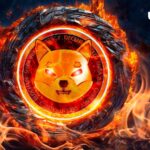 Shiba Inu Burn Rate Defies Price Drop With 219% Spike: Details