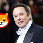 SHIB Army Thrilled By What Elon Musk AI Bot Revealed About Shibarium