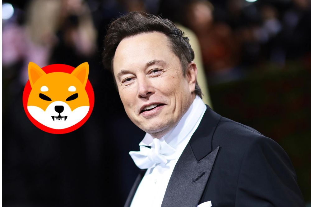 SHIB Army Thrilled By What Elon Musk AI Bot Revealed About Shibarium