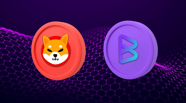 Shiba Inu Whales Flocking to Bitgert Coin: Here’s Why