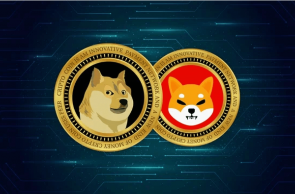 Shiba Inu Price Outperforms Dogecoin as Funding Rate Spikes 240%