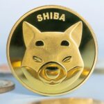 Uphold Seeks Information Regarding Shiba Inu Partner, Bad Idea AI