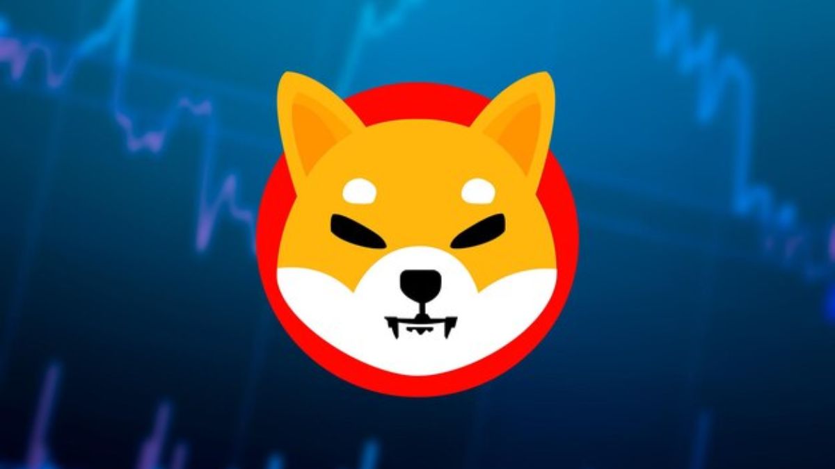 Another Shiba Inu millionaire moves to Retik Finance; why are SHIB whales backing RETIK? – Digital Transformation News