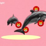 Whales Shift Trillions in SHIB; 514% On-Chain Activity Spike