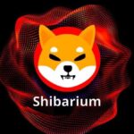 A Closer Look at Shiba Inu’s Network Dynamics