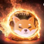 Shiba Inu (SHIB) Sees 150% Burn Rate Surge Amid Price Uncertainty