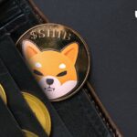 Billions of Shiba Inu (SHIB) Disappear in Unknown Wallet