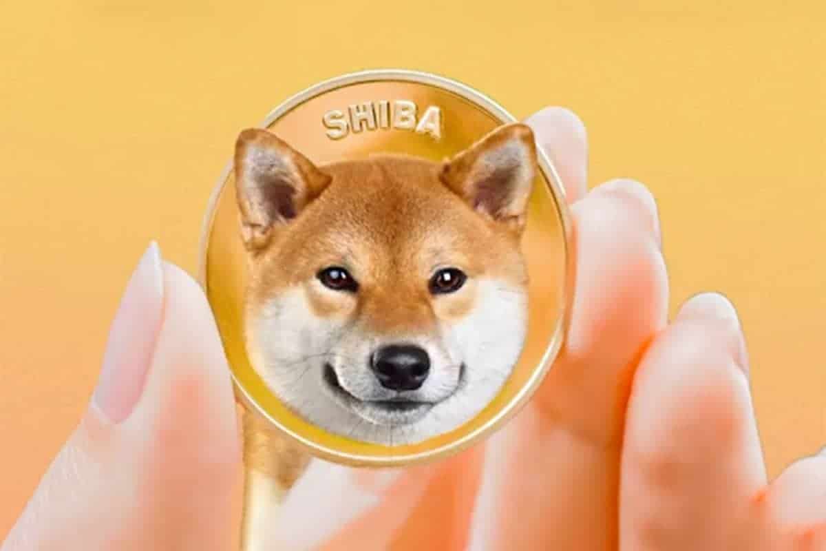 Shiba Inu Price Poised for 5% Drop this Week, But There’s a Catch