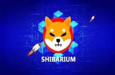 Surging Accounts and Achievements Propel Shiba Inu’s Layer-2 Blockchain