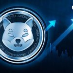 Shiba Inu Skyrockets 422% as Whale Transactions Hit Yearly Highs