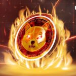 177 Million SHIB up in Flames as Shiba Inu Recovers After 40% Drop