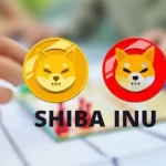 Shiba Inu’s Major Release In Just Weeks Away