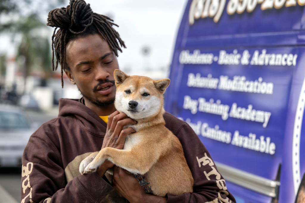 In Sherman Oaks, dog trainer Indigo Will is a coach who persuades canines – Daily News