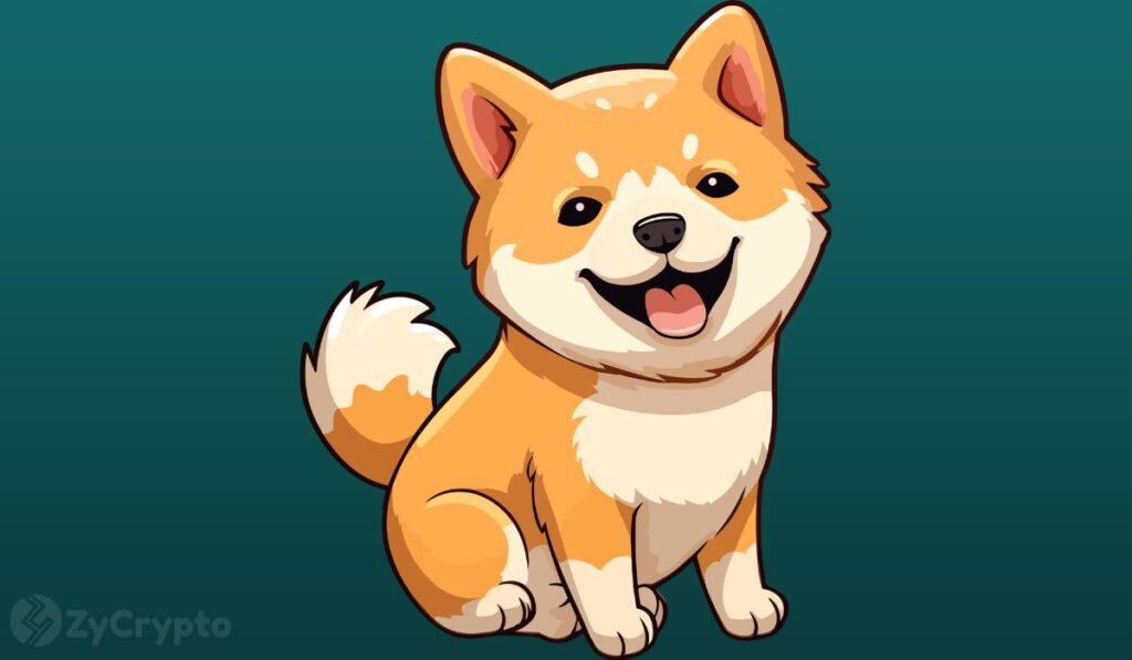 Mysterious Shiba Inu Whales Haul Trillions Of SHIB As PEPE, BONK Memecoin Craze Gets Insane Boost ⋆ ZyCrypto