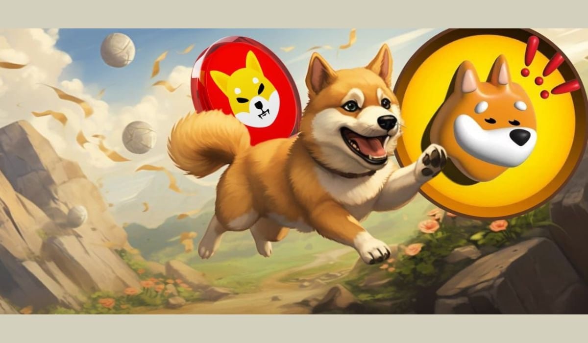 Shiba Inu Officially Launches Shib Name Service Amid Price Volatility: What’s Next for SHIB?