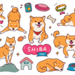 Shiba Inu (SHIB) trading volume dips $5 billion as Solana memes takeover | FXEmpire