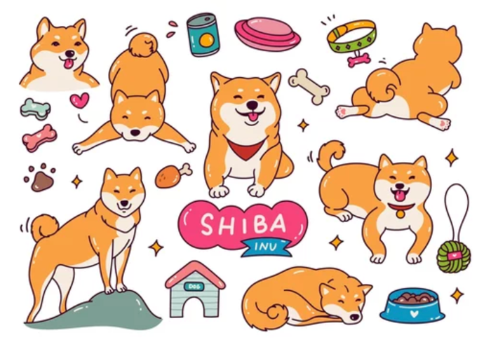 Shiba Inu (SHIB) trading volume dips $5 billion as Solana memes takeover | FXEmpire