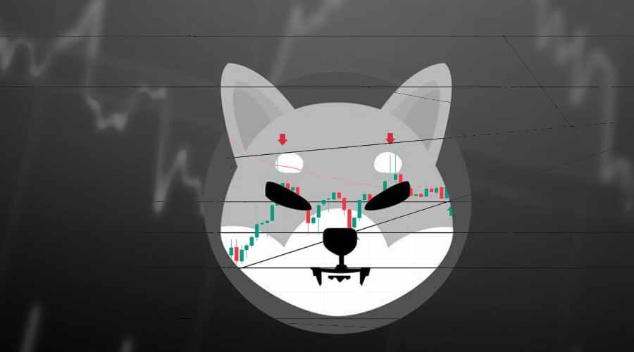 Shiba Inu Coin Witnesses Remarkable Growth Amidst Market Fluctuations