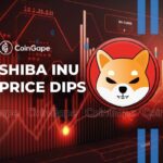 Shiba Inu Weekly Burn Dips 60%, SHIB To Break Below Support?