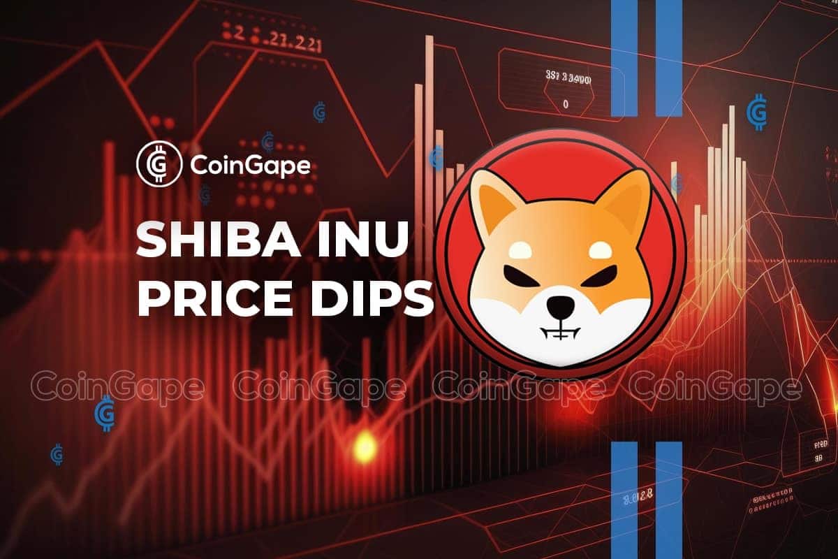 Shiba Inu Weekly Burn Dips 60%, SHIB To Break Below Support?