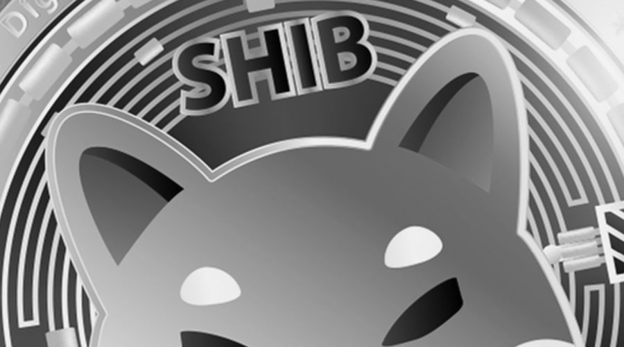 Shiba Inu (SHIB) Bullish Rally Gains Momentum as Bitcoin Hits New All-Time High